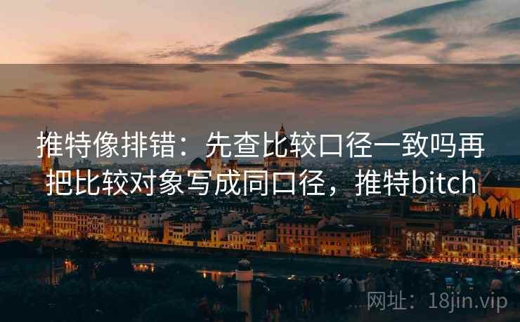 推特像排错：先查比较口径一致吗再把比较对象写成同口径，推特bitch